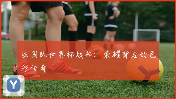 法国队世界杯战袍：荣耀背后的色彩传奇
