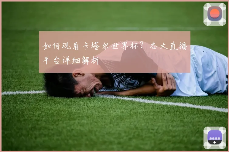 如何观看卡塔尔世界杯?各大直播平台详细解析