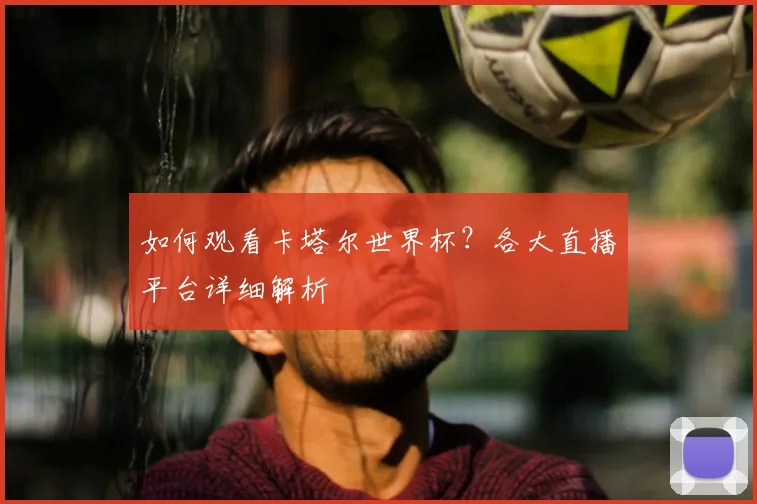 如何观看卡塔尔世界杯?各大直播平台详细解析