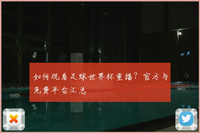 如何观看足球世界杯重播？官方与免费平台汇总