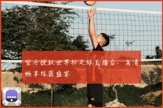 官方授权世界杯足球直播台,高清畅享绿茵盛宴