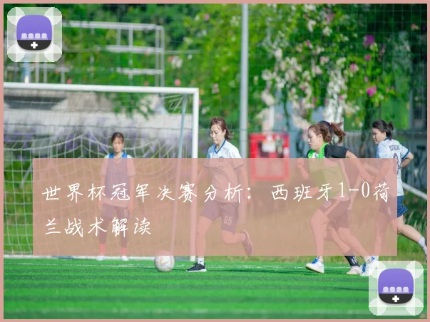 世界杯冠军决赛分析:西班牙1-0荷兰战术解读